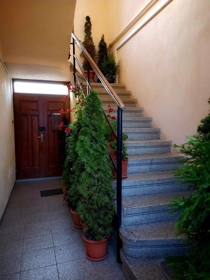Villa Casa Ioana براشوف المظهر الخارجي الصورة