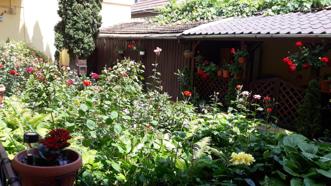 Villa Casa Ioana براشوف المظهر الخارجي الصورة