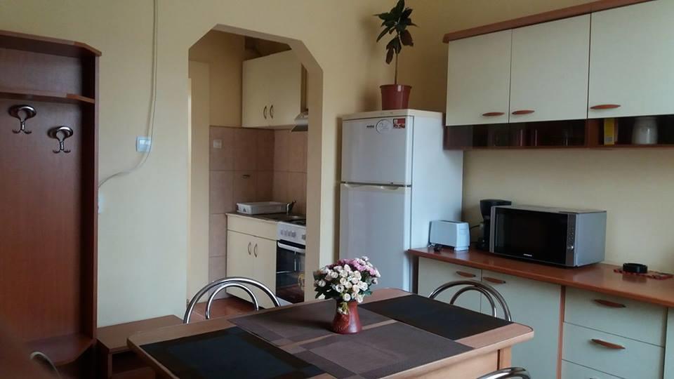 Villa Casa Ioana براشوف المظهر الخارجي الصورة