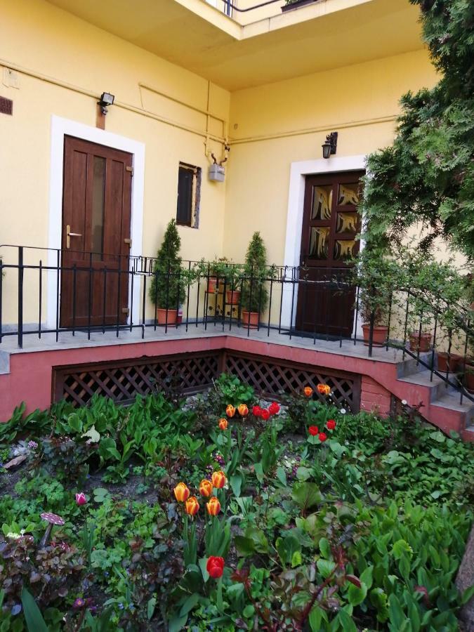 Villa Casa Ioana براشوف المظهر الخارجي الصورة