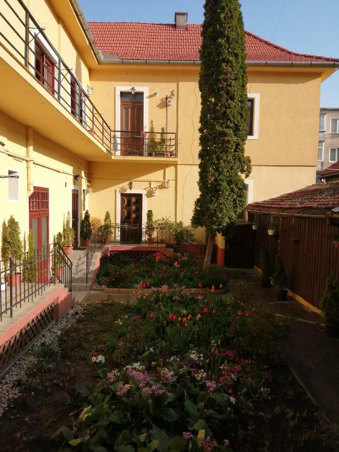 Villa Casa Ioana براشوف المظهر الخارجي الصورة